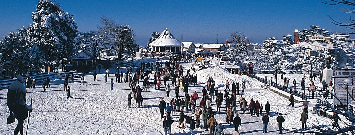 Shimla Group Tour Packages | call 9899567825 Avail 50% Off